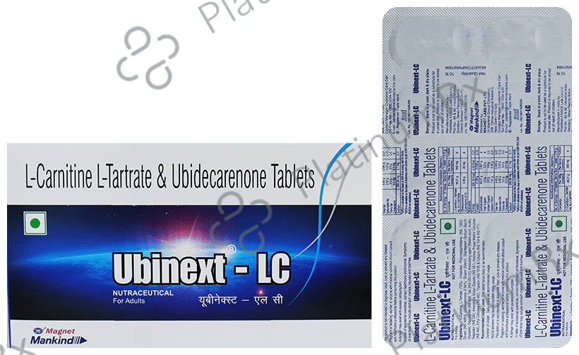 acetyl l carnitine for energy Acetyl L-Carnitine 500mg | Cognitive Support